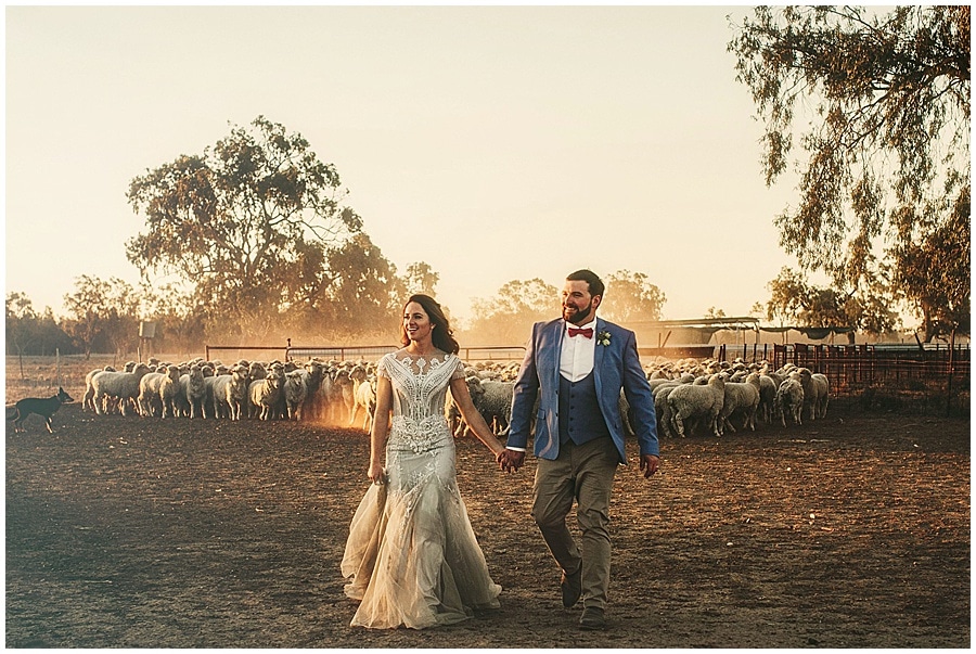 {Tom and Dimity} Wedding Dresses Aren’t Made For The Sheep Yards, Garah, NSW